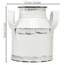 Article Pichet décoratif en métal avec anses, blanc et noir, 13 cm de haut, 2 pièces