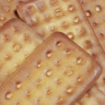 Article Biscuits décoratifs nourriture artificielle 9×4cm 24 pcs