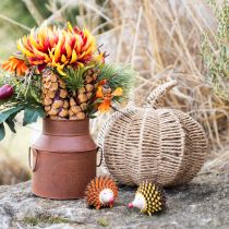 Article Citrouille décorative raphia naturel rustique décoration automne Ø25cm H25cm
