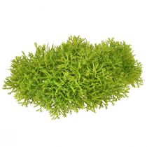 Article Mousse décorative artificielle verte – coussin de mousse 10/12/14cm 3 pcs