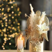 Article Pampas séché crème 95 cm - Lot de 3 tiges