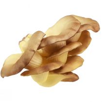 Champignons décoratifs pleurotes artificiels marron clair 19×12×9cm