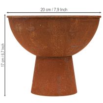 Article Coupe décorative en métal patiné rouille avec pied Ø20,5 cm