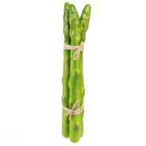 Article Légume Artificiel Vert Asperge Décorative L22cm Ø1,5cm 3pcs