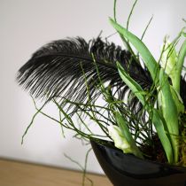 Article Plumes d&#39;autruche décoratives plumes noires 38-40cm 2 pcs