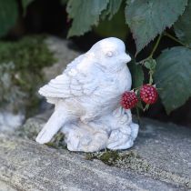 Article Figurine décorative oiseau moineau en pierre moulée blanchie H12,5cm