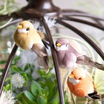 Article Oiseaux décoratifs artificiels pour la maison, parfaits pour le printemps, avec un plumage coloré en véritables plumes, 5 cm, lot de 18.