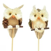 Article Bouchons de fleurs décoratifs hibou décoration d&#39;automne naturel Ø4cm H8cm 4pcs