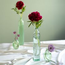 Article Vase décoratif bouteille en verre transparent/vert rétro Ø6,5cm H30cm