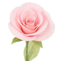 Article Papier crépon fleuriste rose 50×250cm 5pcs