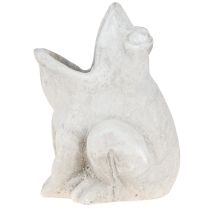 Article Pot de fleurs décoratif grenouille béton gris H18,5cm