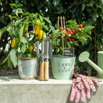 Article Outil de jardinage avec piquets, râteau, pelle, 25/28 cm