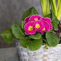 Article Panier tressé, une élégante décoration florale pour le salon. Panier de Pâques, 23 cm, lot de 6.