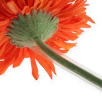 Article Sections de tube Gerbera 13 mm, 1 000 pièces