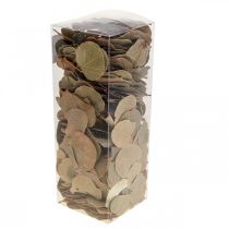 Article Feuilles Séchées Naturelles Moneta pour Décoration et Loisirs Créatifs 200 g