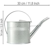 Article Arrosoir décoratif vintage, métal argenté, pot de fleurs de 1,25 l