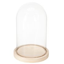 Article Cloche en verre sur plateau en bois, pot en verre, transparent, naturel, Ø17cm, H24cm