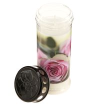 Article Bougies funéraires à l&#39;huile, bougies de deuil, roses Ø7,5cm H20,5cm 6pcs