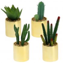 Cactus vert en pot doré 12cm - 17cm 4pcs