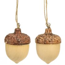 Article Gland pour décoration à suspendre automne naturel/marron 5,3x3,5cm 12 pièces