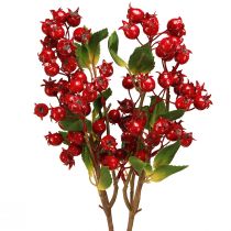 Article Branche décorative d&#39;églantier aux fruits rouges L60cm 2 pcs