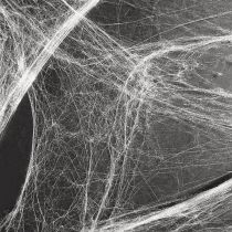 Article Toile d'araignée décorative d'Halloween 70×100cm 150g