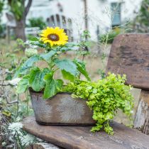 Article Pot d&#39;automne, coupe-plantes à feuilles, décoration métal doré L38cm H15cm