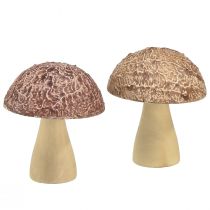 Article Champignons en bois champignons décoratifs décoration de table automne brun naturel 5×6cm 8 pcs