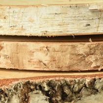 Article Disques en bois de bouleau avec écorce disques d&#39;arbre Ø20-22cm 3 pièces