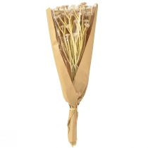 Article Fleurs artificielles de paille italienne rose L28cm