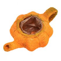 Article Pichet pour planter une décoration de citrouille orange/jaune-vert Ø13cm