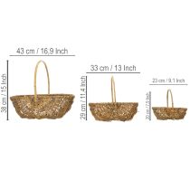 Article Panier en osier naturel avec film plastique – Lot de 3 tailles