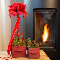 Article Amaryllis Artificielle Fleurs Artificielles Rouge Ø18cm L68cm 2pcs