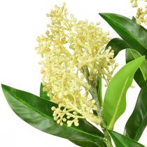 Article Fleurs artificielles Crème Skimmia japonica 45 cm