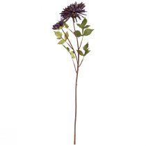 Article Chrysanthème artificiel 2 fleurs violet Ø5/11cm L70cm
