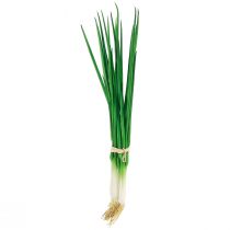 Oignons nouveaux artificiels légumes décoratifs L30cm 4 pcs