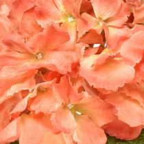 Article Hortensia artificielle saumon Ø23cm L84cm – Fleur décorative