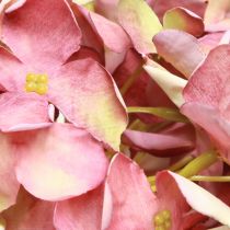 Article Hortensia Artificiel Grand Rose Mauve Ø15cm L58cm 2pcs