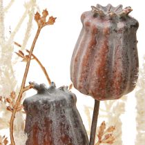 Article Capsules de pavot décoratives fleurs séchées fougère artificielle crème 63cm
