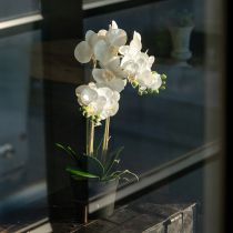 Article Orchidée artificielle en pot pour une ambiance harmonieuse, blanche, 60 cm