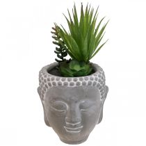 Article Pot de Fleur Artificielle Succulente Bouddha Ø12cm H25cm