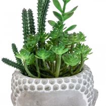 Pot de Fleur Artificielle Succulente Bouddha Ø12cm H24cm