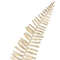 Article Fougère artificielle crème blanche ramifiée L120cm