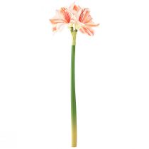 Article Étoile de Chevalier Artificielle Fleurs Artificielles Amaryllis Blanc Rouge Orange 40cm 3pcs