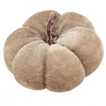 Article Tissu de décoration citrouille citrouilles jaune beige rouge marron Ø7cm 9 pcs