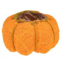Cache-pot citrouille orange/jaune-vert en sisal Ø15cm H9cm