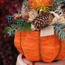 Article Pot de fleurs citrouille orange/jaune-vert en sisal Ø15cm H9cm