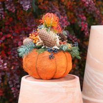 Article Pot de fleurs citrouille orange/jaune-vert en sisal Ø15cm H9cm
