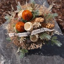 Article Fleurs artificielles, Banksia, Proteaceae Orange L58cm H6cm 3 pcs
