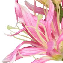 Article Fleurs artificielles, fleurs en soie décoratives lys rose 97cm